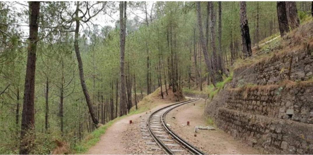 The Kasauli Western Uphills I Serviced Apartments I Pvt Balcony I Peacefull Area I By Exotic Stays Bagian luar foto